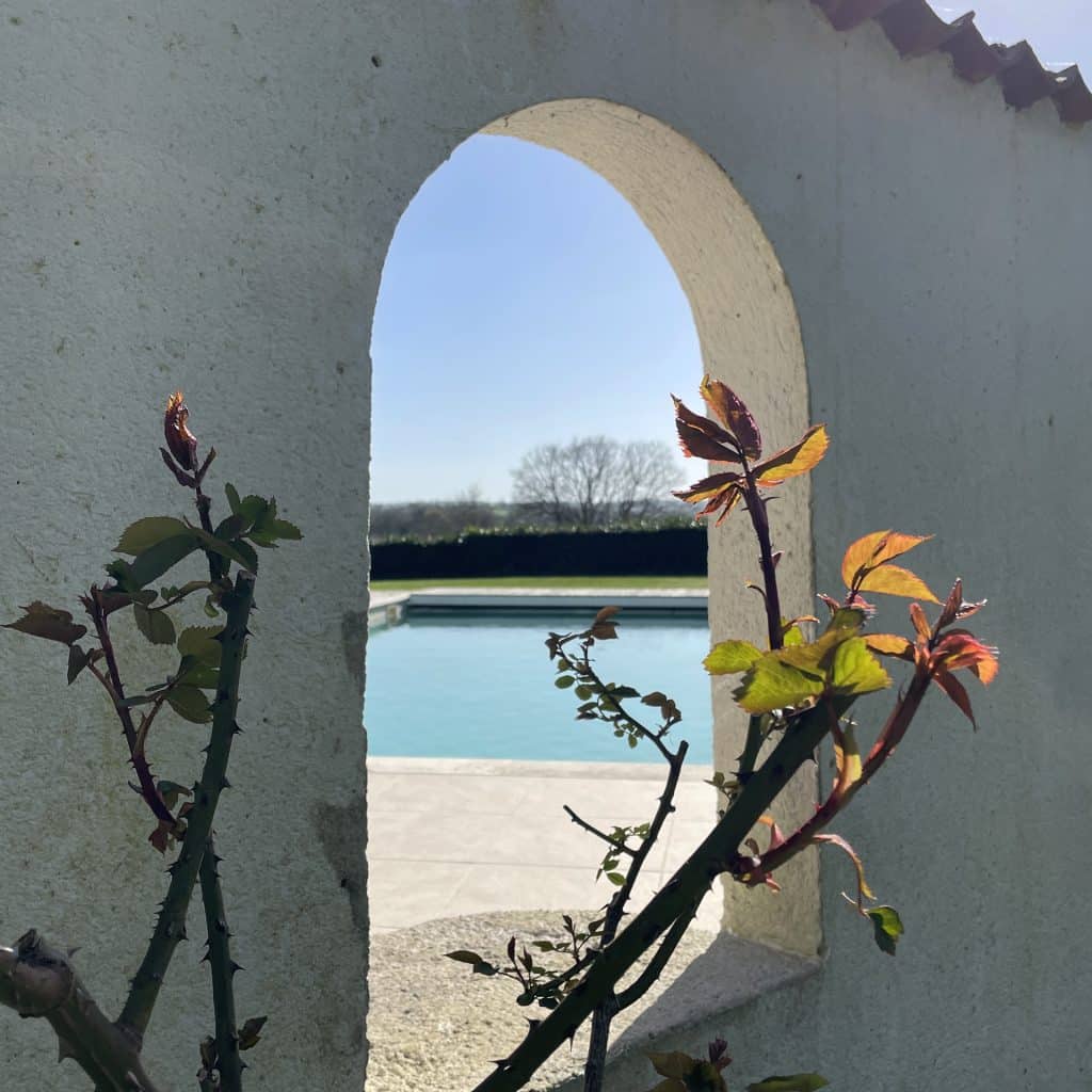 La piscine dans un un environnement verdoyant à Coclico à Cholet.